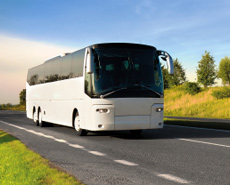 Bus, Coach & SPSV Scheme